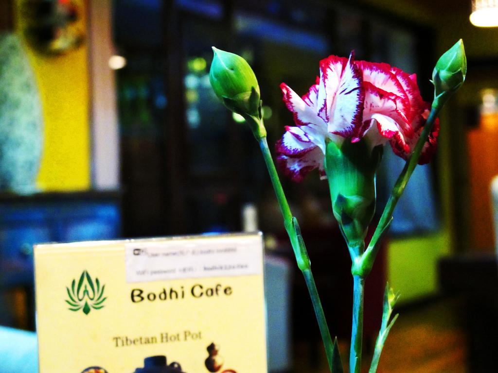 Bodhi Boutique Inn Shangri-La Luaran gambar